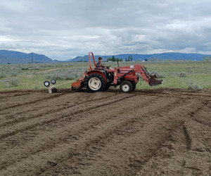 Tractor Tilling & Cultipacking