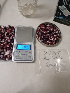 Hopi White Corn - Grape (left < 0.35g ≤ right)